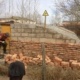 Fotos aus Khaliun