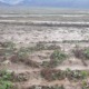 Flut in Khaliun im Aug. 2021