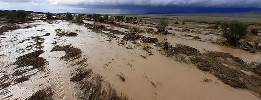 Flut in Khaliun im Aug. 2021